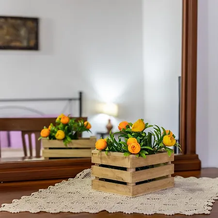 Apartman Lemalu Con Giardino